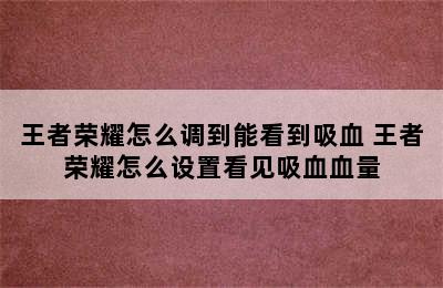 王者荣耀怎么调到能看到吸血 王者荣耀怎么设置看见吸血血量